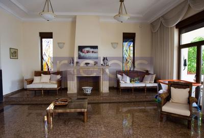 SNAGOV | VILA DE LUX CU 90M DESCHIDERE LA LAC | POZITIE EXCEPTIONALA - 24