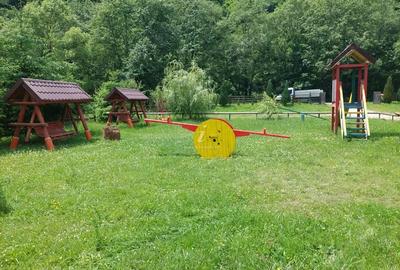 Casă cu Teren 3900 Mp în Rucăr - 2