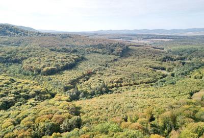 Teren Intravilan - Amplasare Unica - 34