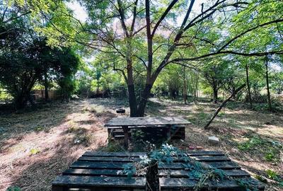 Teren intravilan 1500mp in Livedea, Ialomita - 5