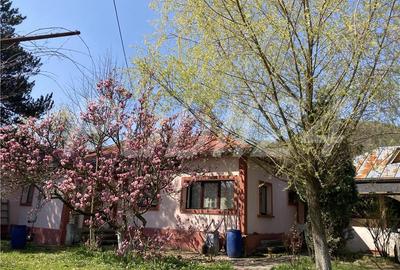 Casă cu 8 camere în Coțofenești - 2