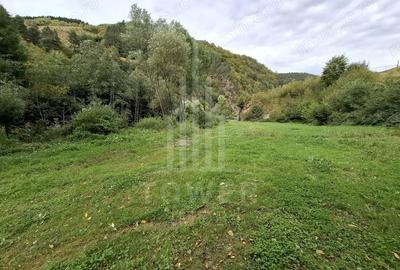 Teren de 4000 mp, în Râu Sadului