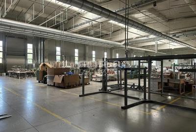 Hala industriala 4700 mp de inchiriat in zona Oncea Oradea - 2