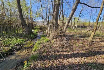 Vanzare teren 4606 mp - Sat Balta - Runcu - la aproximativ 20 km de Targu Jiu - 3