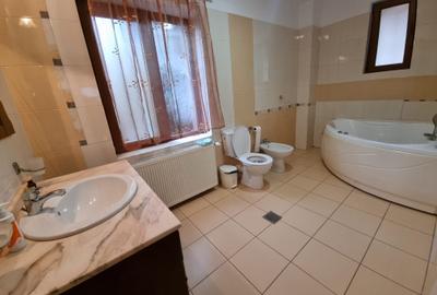 Vila individuala spatioasa 5 camere, 250 mp, mobilata, zona Soseaua Oltenitei - 2