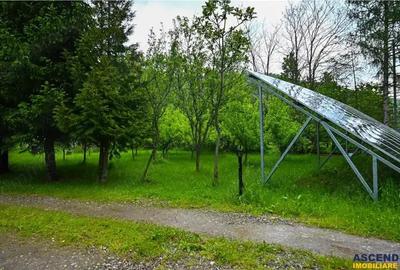 In cartea de povesti a Pietrei Craiului, ansamblu turistic in circuit,Plaiul Foii - 5