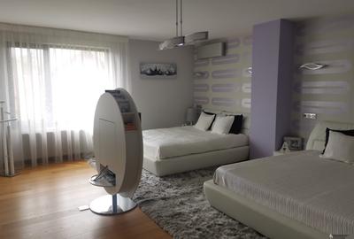 Casa/vila P+1+M , STEFANESTI, teren 749 mp, finisaje superioare, mobilata - 30