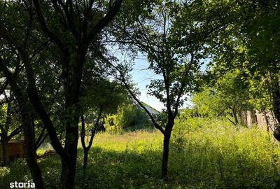 Teren de 2540 mp, în Valea Adâncă - 7