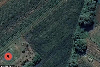 Teren de 1523 mp, în Vultureni - 1