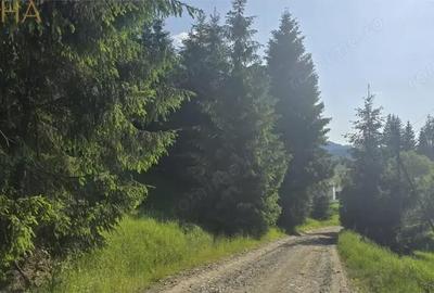 Teren de 1000 mp, în Colibița - 5