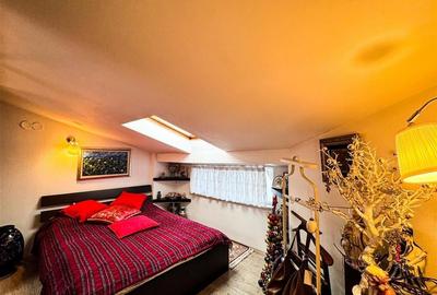 Vila de inchiriat Strada Plantelor - 14