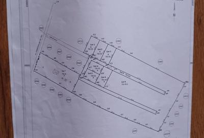 Teren de 700 mp, în Cătămărești - 3