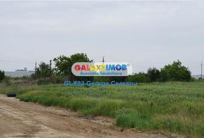 Teren intravilan de 38500 mp, în Nord - 3