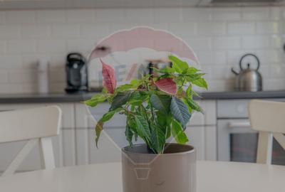 Casa individuala P+1+M mobilata, utilata - Dragomire?... - 12