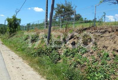 Teren 1974 mp intravilan de vanzare in Loman judetul Alba - 2