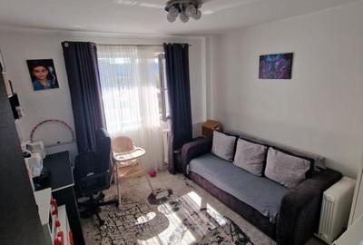 Campia Libertatii , Baba Novac , Parc IOR, renovat, mobilat complet - 4