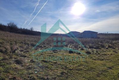 Oportunitate de investitie! Teren intravilan de vanzare in zona lacului Chinteni - 4