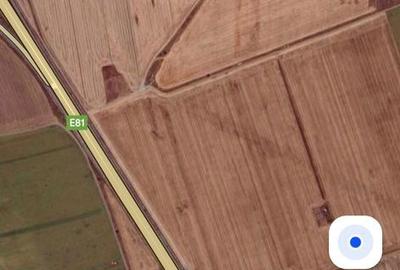 Teren de 500 mp, în Viile Noi