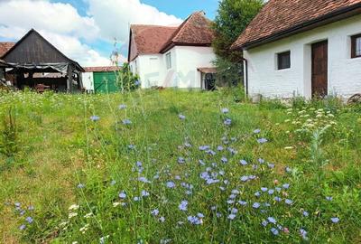Casa saseasca cu doua spatii de oaspeti - Somartin 101 - 3
