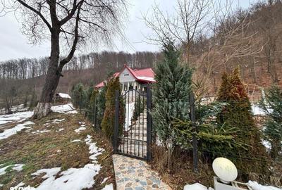 Casă cu 7 camere cu Teren 1000 Mp în Firiza - 2