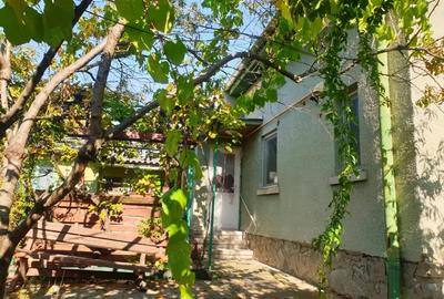 Casă cu 4 camere cu Teren 320 Mp în Dumbrăvița - 5
