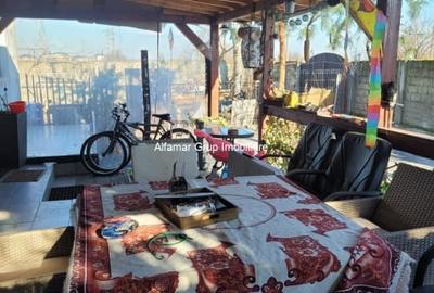 Vanzare proprietate cu 2 case Zurbaua- Dragomiresti Vale - 22