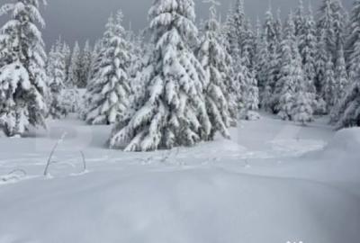 Teren de 853 mp, în Central - 2