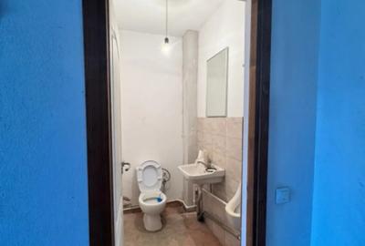 Spațiu comercial, de 360 mp, în Brestei - 11