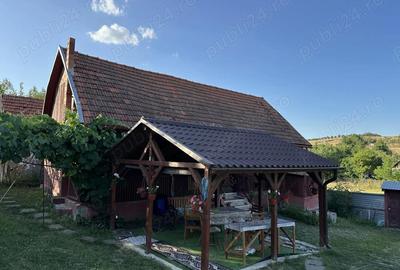 Casă cu 3 camere cu Teren 2800 Mp în Central - 11