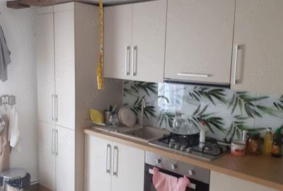 Casă cu 4 camere cu Teren 1400 Mp în Urvișu de Beliu - 2