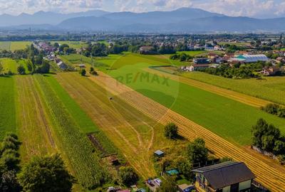 COMISION 0% Teren 3098 mp Brasov / Stupini - 4