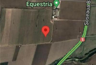 Teren de 12500 mp, în Săftica
