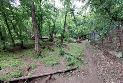 Casa tip D P 1, SISTEM AMVIC, teren 1000 mp, Sarata Monteoru - 5