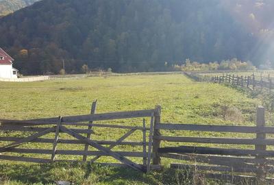 Teren Construcții intravilan de 6025 mp, în Lepșa - 6