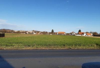 Teren intravilan construibil de vanzare in Lunca Calnicului 2325mp - 3