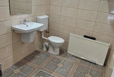 Spațiu comercial, de 80 mp, în Lugojului - 5