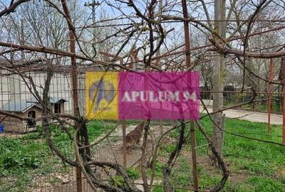 GIURGIU - COM. BUCSANI (SAT OBEDENI) CASA 2 CAM DE VANZARE - 19