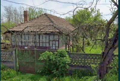 Teren de 3000 mp, în Central