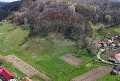 Teren partial intravilan 2,984mp Baru ,jud.Hunedoara - 10