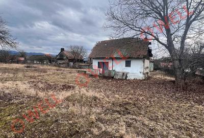 De vânzare teren intravilan în Pachia! - 4