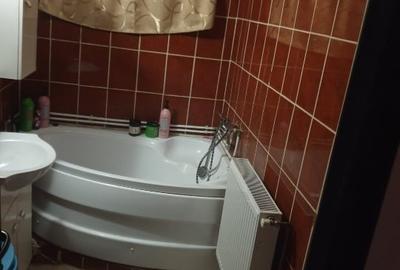 Casa P+E, teren 220 m2, zana centrala, pa langa campia Islaz - 10