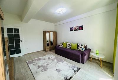 APARTAMENT CU PRELUARE CHIRIASI, 1 CAMERA DECOMANDAT, BUCIUM - 3
