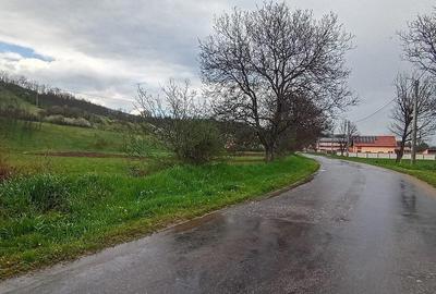 Teren de 5272 mp, în General Berthelot - 4