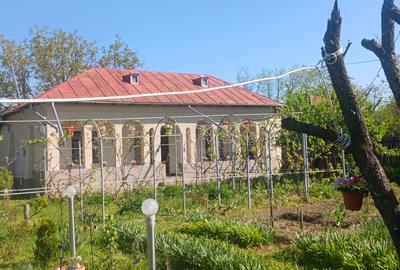 Casă individuală cu 3 camere cu Canalizare în Viișoara - 18