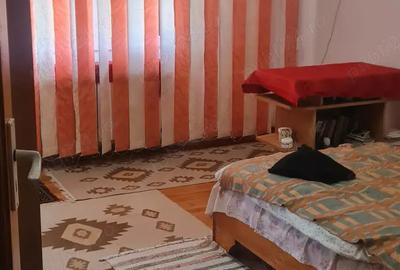 Casă cu 3 camere în Ulmetu