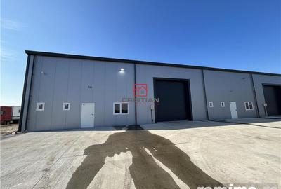 Inchiriere depozit hala spatiu industrial Pantelimon - Centura - 11