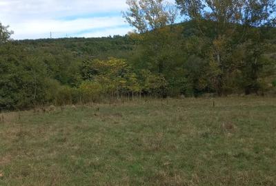 Vând teren 4 euro mp MEHADIA la 8km de BĂILE HERCULANE - 1