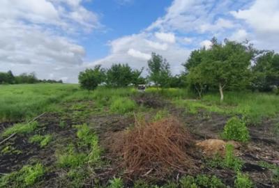 Casă cu 4 camere cu Teren 6000 Mp în Negostina - 3