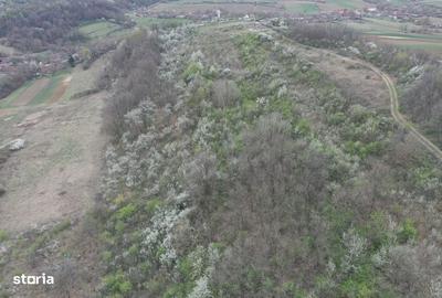 Teren de 8114 mp, în Holod - 5