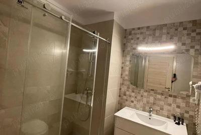 Studio-de inchiriat- 300E luna negociabil - 3